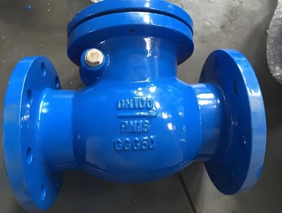 Ductile Hlau Viav Kos Valve PN10