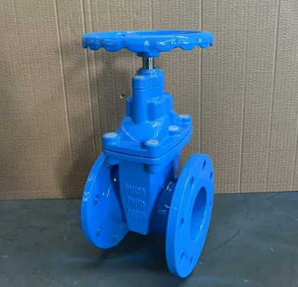 Rising qia rooj vag Valve